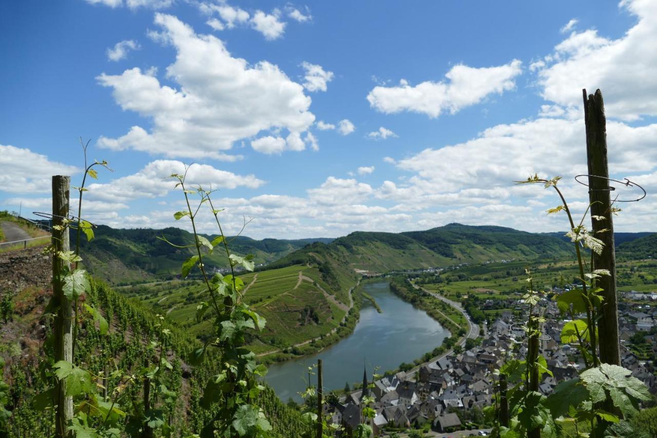 Ferienwohnung Haus Am Calmont Bremm Zewnętrze zdjęcie