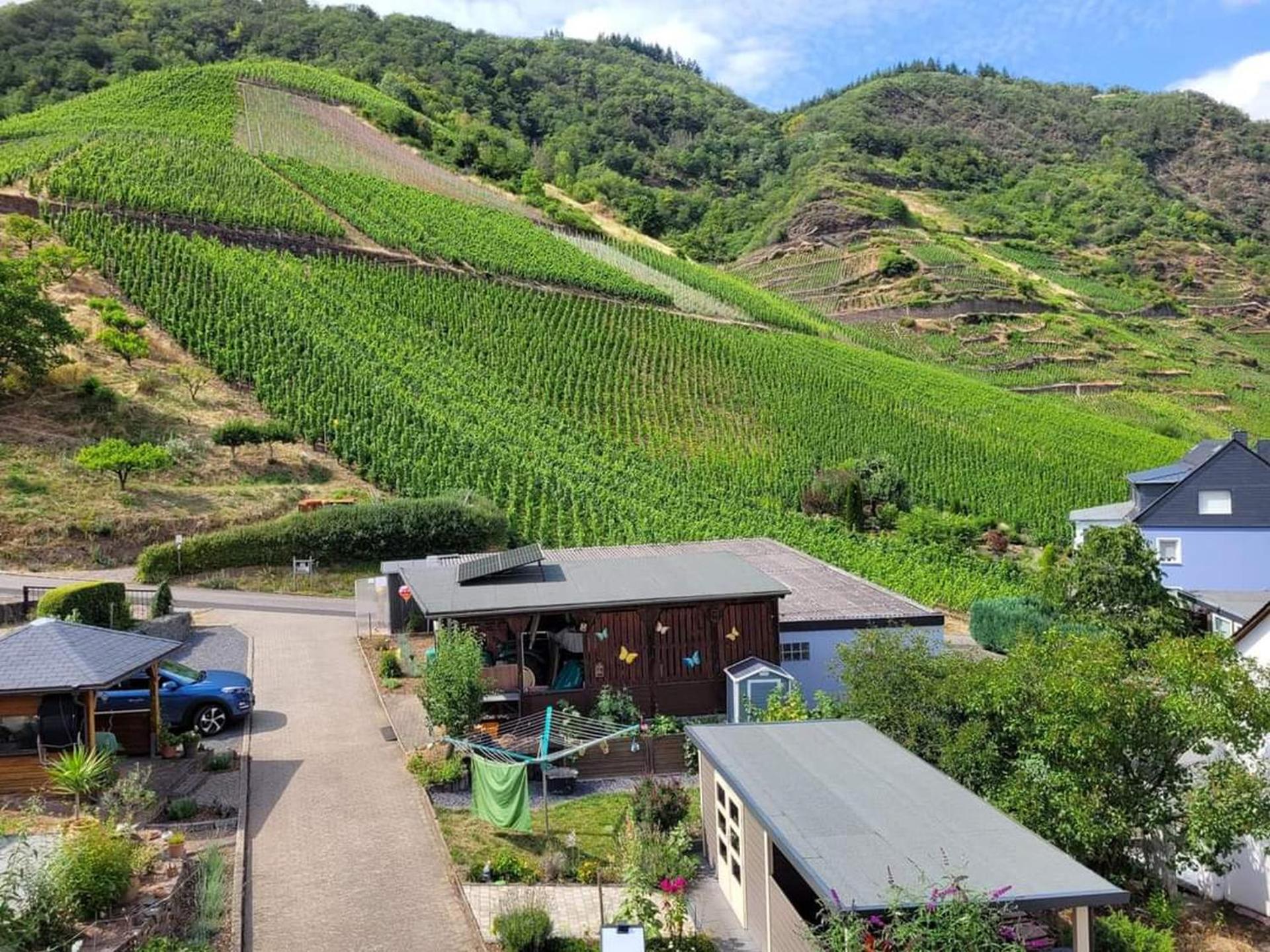 Ferienwohnung Haus Am Calmont Bremm Zewnętrze zdjęcie